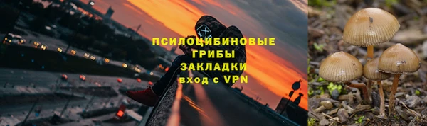 прущие крисы Туринск