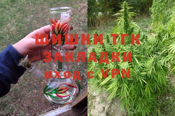 твердый Майский