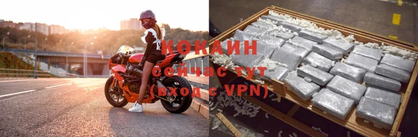 прущие крисы Туринск