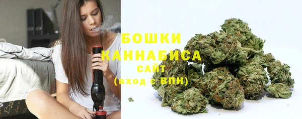 прущие крисы Туринск