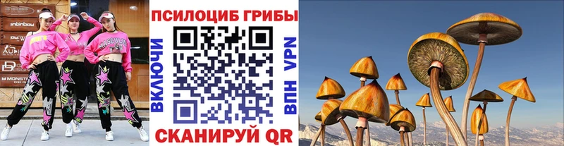 где купить наркоту Джанкой omg зеркало Псилоцибиновые грибы ЛСД