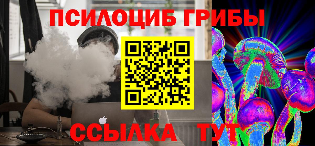 Галлюциногенные грибы Psilocybe  Джанкой  Псилоцибиновые грибы Psilocybe 