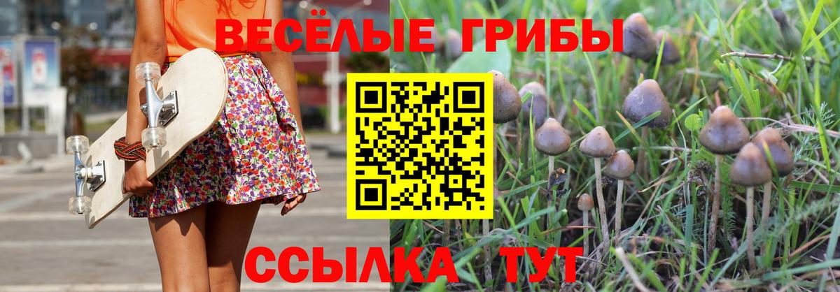 Псилоцибиновые грибы мицелий Джанкой