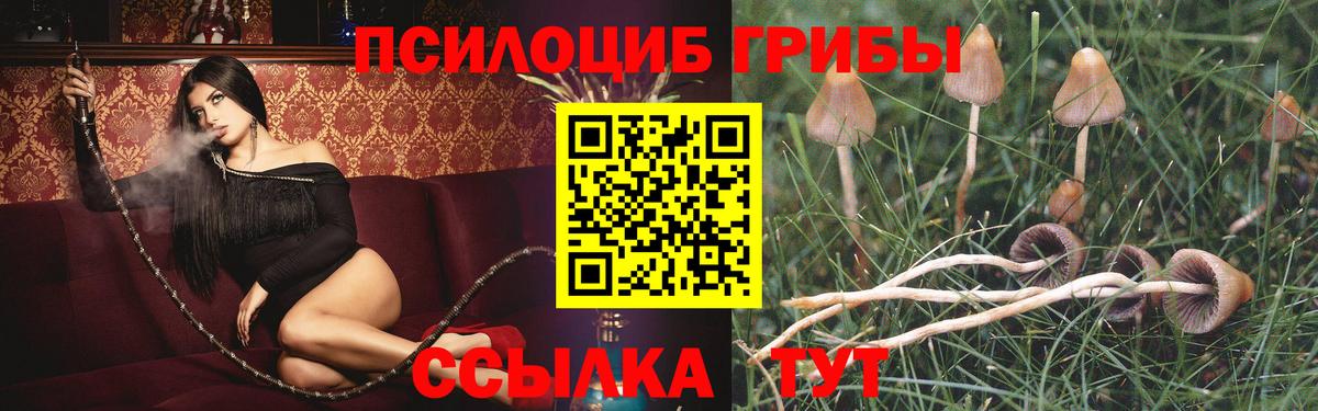 Джанкой  Галлюциногенные грибы мицелий  Вход с VPN  Галлюциногенные грибы GOLDEN TEACHER 