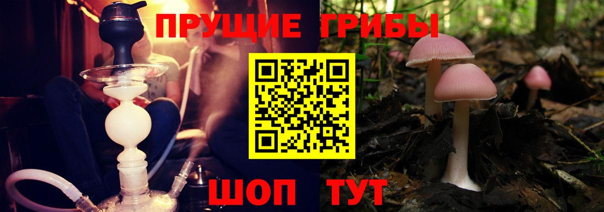 Галлюциногенные грибы мицелий Джанкой