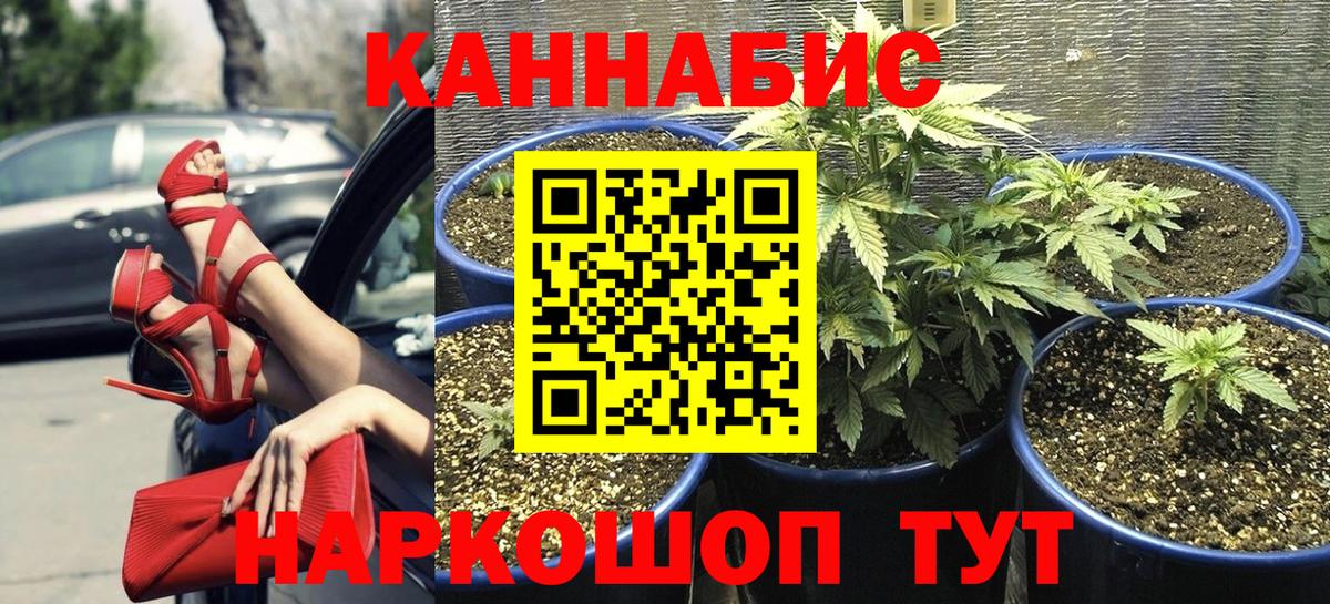 Канабис Ganja  Бошки Шишки Amnesia  Джанкой  Вход с VPN  Бошки марихуана гибрид 